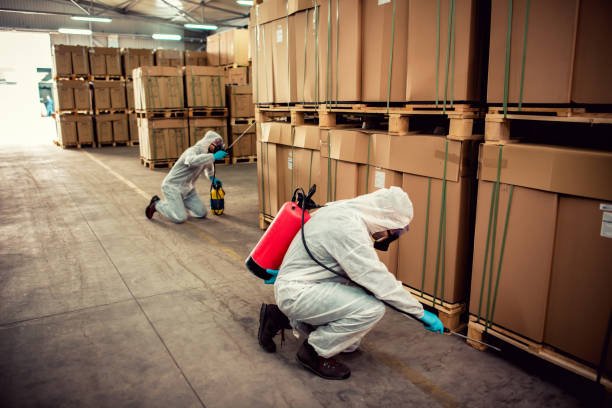 Best Affordable Pest Control Services  in Vidalia, GA