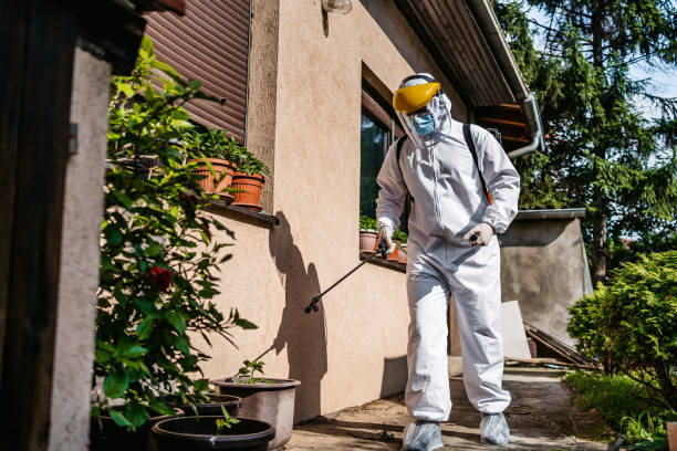 Best Spider Control Near Me  in Vidalia, GA