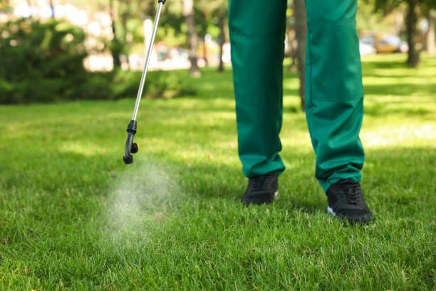 Best Flea Control Services  in Vidalia, GA