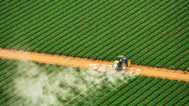 Pest Prevention Services in Vidalia, GA