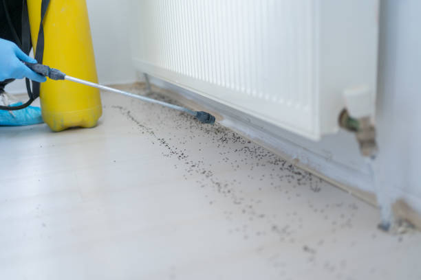 Best Pest Control Near Me  in Vidalia, GA